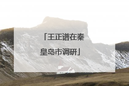 王正谱在秦皇岛市调研