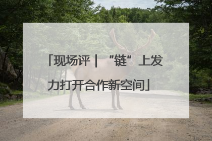 现场评｜“链”上发力打开合作新空间