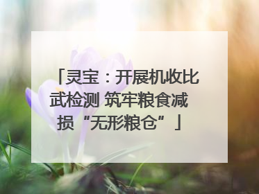 灵宝：开展机收比武检测 筑牢粮食减损“无形粮仓”