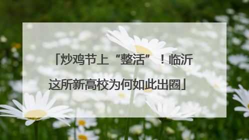 炒鸡节上“整活”！临沂这所新高校为何如此出圈