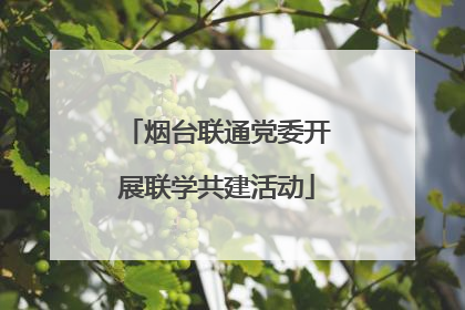 烟台联通党委开展联学共建活动