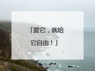 爱它，就给它自由！