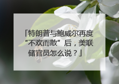特朗普与鲍威尔再度“不欢而散”后，美联储官员怎么说？
