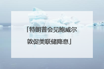 特朗普会见鲍威尔 敦促美联储降息