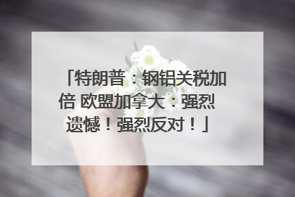 特朗普：钢铝关税加倍 欧盟加拿大：强烈遗憾！强烈反对！