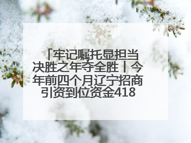 牢记嘱托显担当 决胜之年夺全胜丨今年前四个月辽宁招商引资到位资金4186.8亿元，同比增长17.4%