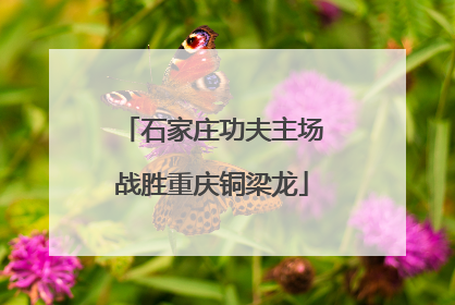 石家庄功夫主场战胜重庆铜梁龙