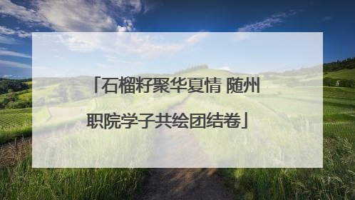 石榴籽聚华夏情 随州职院学子共绘团结卷