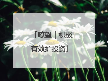 瞭望｜积极有效扩投资