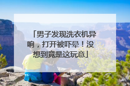 男子发现洗衣机异响，打开被吓晕！没想到竟是这玩意