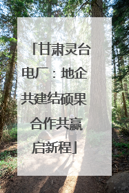 甘肃灵台电厂：地企共建结硕果 合作共赢启新程
