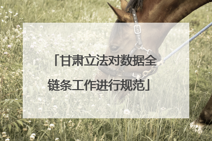 甘肃立法对数据全链条工作进行规范