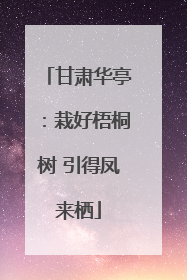 甘肃华亭：栽好梧桐树 引得凤来栖