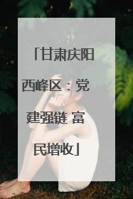 甘肃庆阳西峰区：党建强链 富民增收