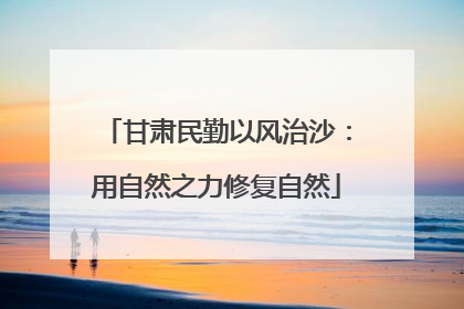 甘肃民勤以风治沙：用自然之力修复自然