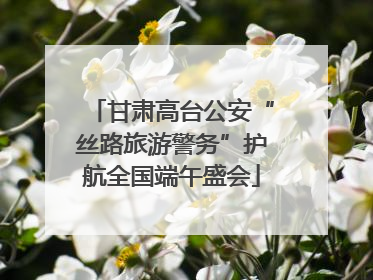 甘肃高台公安“丝路旅游警务”护航全国端午盛会