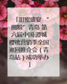 甜蜜盛宴 “圈粉”青岛 第六届中国·澄城樱桃营销季全国巡回推介会（青岛站）成功举办