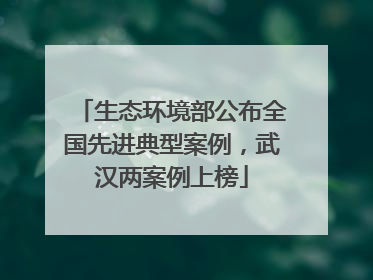 生态环境部公布全国先进典型案例，武汉两案例上榜
