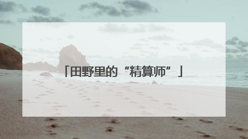 田野里的“精算师”