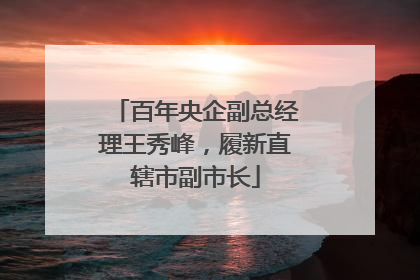 百年央企副总经理王秀峰，履新直辖市副市长