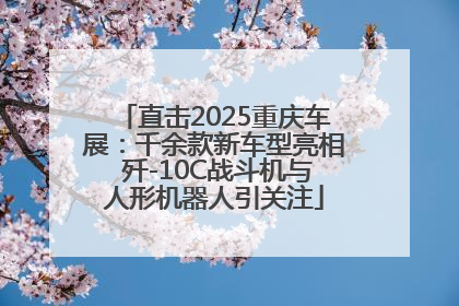 直击2025重庆车展：千余款新车型亮相 歼-10C战斗机与人形机器人引关注