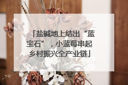 盐碱地上结出“蓝宝石”，小蓝莓串起乡村振兴全产业链