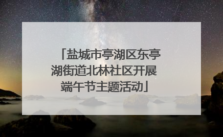 盐城市亭湖区东亭湖街道北林社区开展端午节主题活动