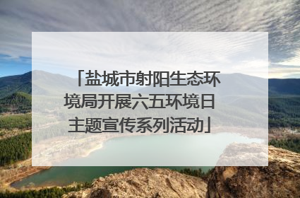 盐城市射阳生态环境局开展六五环境日主题宣传系列活动