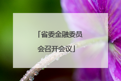省委金融委员会召开会议