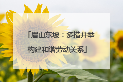 眉山东坡：多措并举构建和谐劳动关系