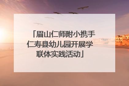 眉山仁师附小携手仁寿县幼儿园开展学联体实践活动
