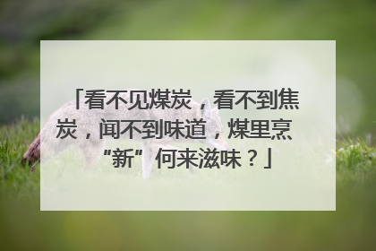 看不见煤炭，看不到焦炭，闻不到味道，煤里烹“新”何来滋味？