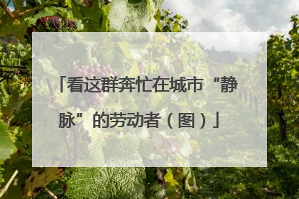 看这群奔忙在城市“静脉”的劳动者（图）