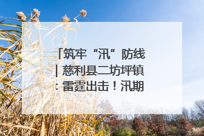 筑牢“汛”防线｜慈利县二坊坪镇：雷霆出击！汛期捕鱼被紧急叫停