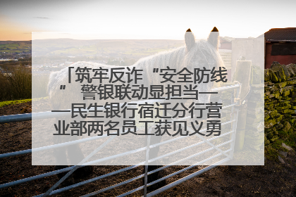 筑牢反诈“安全防线” 警银联动显担当——民生银行宿迁分行营业部两名员工获见义勇为基金会表彰