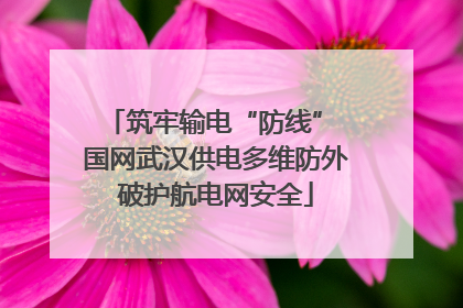 筑牢输电“防线” 国网武汉供电多维防外破护航电网安全