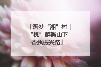 筑梦“湘”村｜“桃”醉衡山下 香飘振兴路