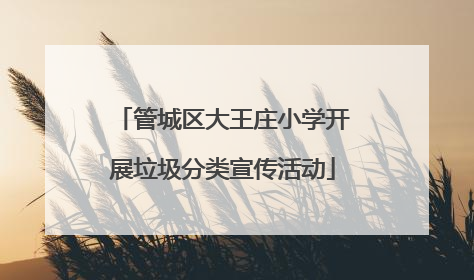 管城区大王庄小学开展垃圾分类宣传活动