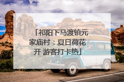 祁阳下马渡镇元家庙村：夏日荷花开 游客打卡热