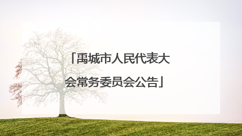 禹城市人民代表大会常务委员会公告