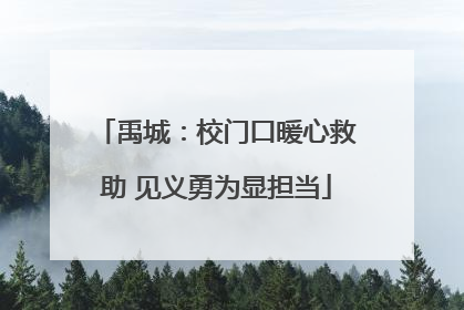 禹城：校门口暖心救助 见义勇为显担当