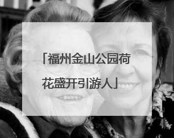 福州金山公园荷花盛开引游人