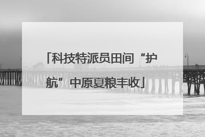 科技特派员田间“护航”中原夏粮丰收
