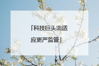 科技巨头需适应更严监管