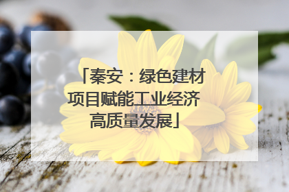秦安：绿色建材项目赋能工业经济高质量发展