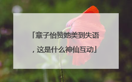 章子怡赞她美到失语，这是什么神仙互动