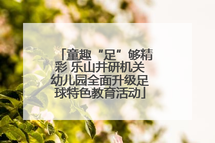 童趣“足”够精彩 乐山井研机关幼儿园全面升级足球特色教育活动