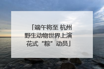 端午将至 杭州野生动物世界上演花式“粽”动员