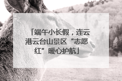 端午小长假，连云港云台山景区“志愿红”暖心护航