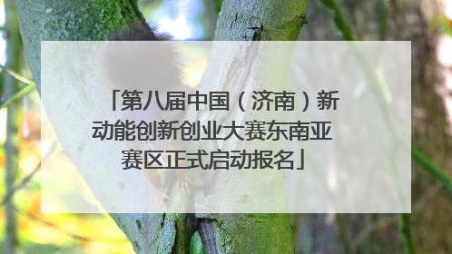 第八届中国（济南）新动能创新创业大赛东南亚赛区正式启动报名